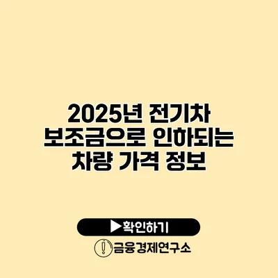 2025년 전기차 보조금으로 인하되는 차량 가격 정보