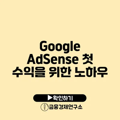 Google AdSense 첫 수익을 위한 노하우