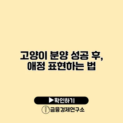 고양이 분양 성공 후, 애정 표현하는 법