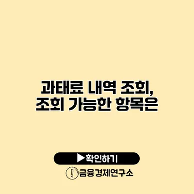 과태료 내역 조회, 조회 가능한 항목은?