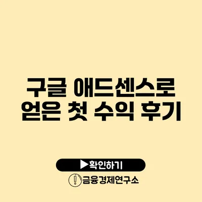 구글 애드센스로 얻은 첫 수익 후기