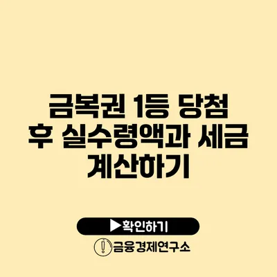 금복권 1등 당첨 후 실수령액과 세금 계산하기