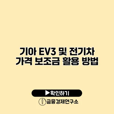 기아 EV3 및 전기차 가격 보조금 활용 방법