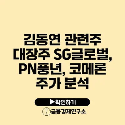 김동연 관련주 대장주 SG글로벌, PN풍년, 코메론 주가 분석