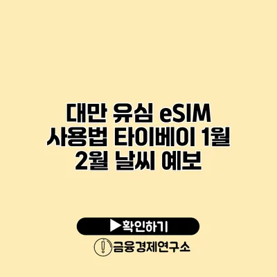 대만 유심 eSIM 사용법 타이베이 1월 2월 날씨 예보