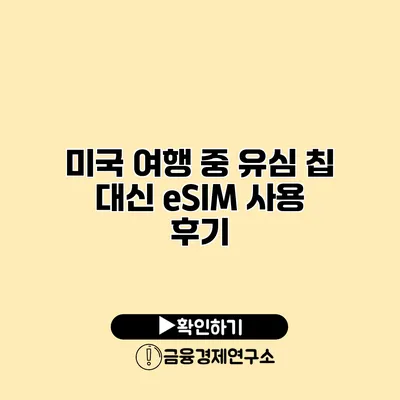 미국 여행 중 유심 칩 대신 eSIM 사용 후기