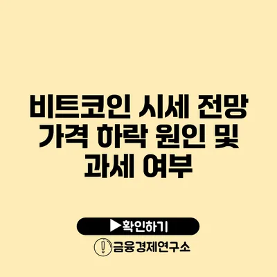 비트코인 시세 전망: 가격 하락 원인 및 과세 여부