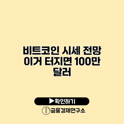 비트코인 시세 전망 이거 터지면 100만 달러?