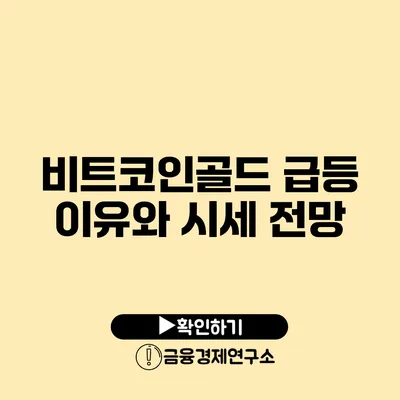 비트코인골드 급등 이유와 시세 전망