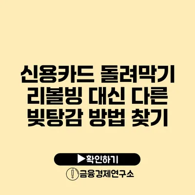 신용카드 돌려막기 리볼빙 대신 다른 빚탕감 방법 찾기