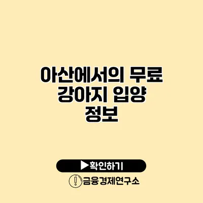 아산에서의 무료 강아지 입양 정보