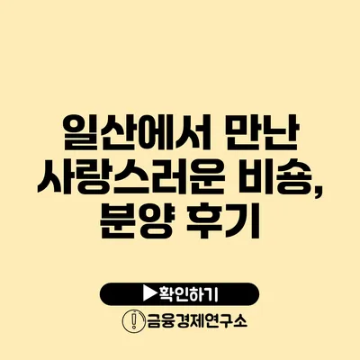일산에서 만난 사랑스러운 비숑, 분양 후기