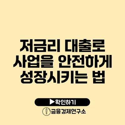 저금리 대출로 사업을 안전하게 성장시키는 법