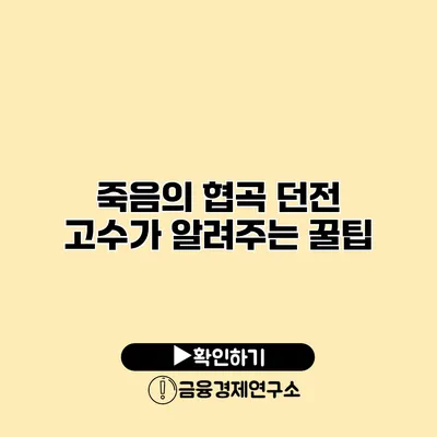 죽음의 협곡 던전 고수가 알려주는 꿀팁