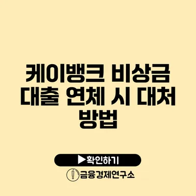 케이뱅크 비상금 대출 연체 시 대처 방법
