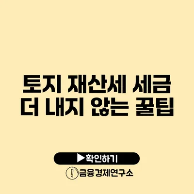 토지 재산세 세금 더 내지 않는 꿀팁