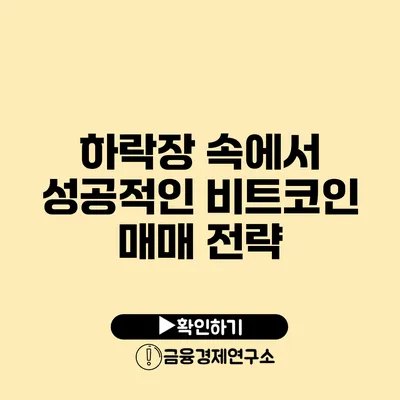 하락장 속에서 성공적인 비트코인 매매 전략