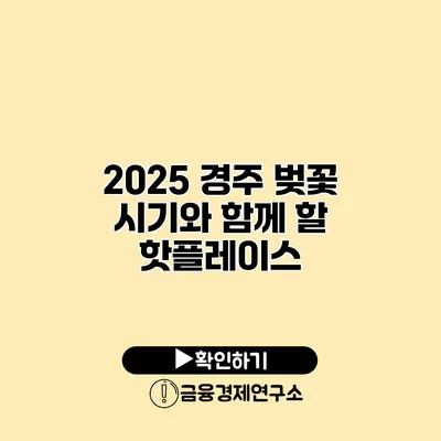 2025 경주 벚꽃 시기와 함께 할 핫플레이스