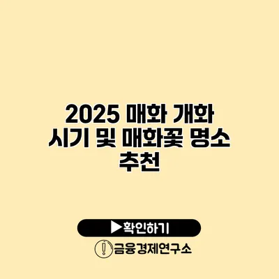 2025 매화 개화 시기 및 매화꽃 명소 추천