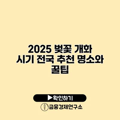 2025 벚꽃 개화 시기 전국 추천 명소와 꿀팁
