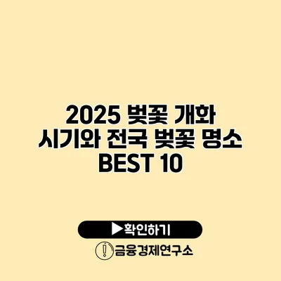 2025 벚꽃 개화 시기와 전국 벚꽃 명소 BEST 10