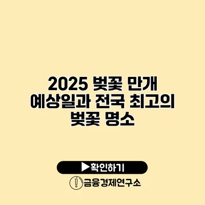 2025 벚꽃 만개 예상일과 전국 최고의 벚꽃 명소