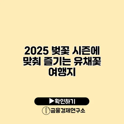 2025 벚꽃 시즌에 맞춰 즐기는 유채꽃 여행지
