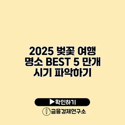2025 벚꽃 여행 명소 BEST 5 만개 시기 파악하기
