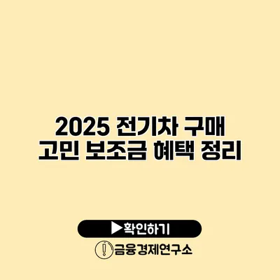 2025 전기차 구매 고민? 보조금 혜택 정리