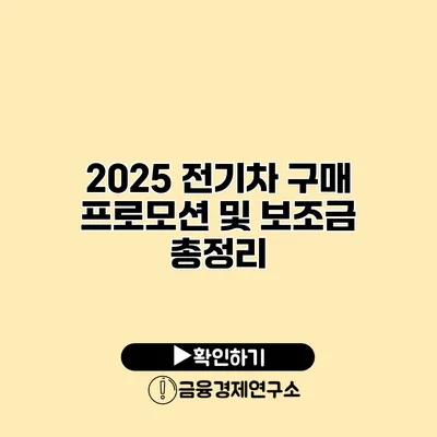 2025 전기차 구매 프로모션 및 보조금 총정리