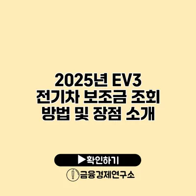 2025년 EV3 전기차 보조금 조회 방법 및 장점 소개
