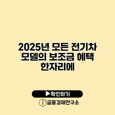 2025년 모든 전기차 모델의 보조금 혜택 한자리에