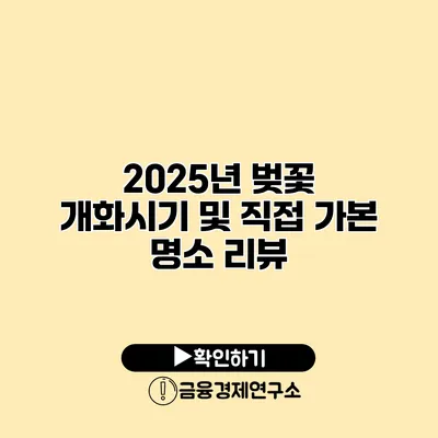 2025년 벚꽃 개화시기 및 직접 가본 명소 리뷰