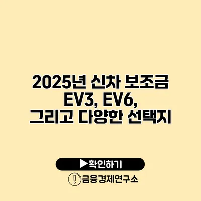 2025년 신차 보조금 EV3, EV6, 그리고 다양한 선택지