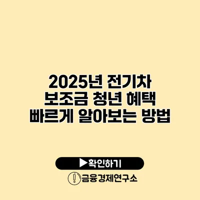 2025년 전기차 보조금 청년 혜택 빠르게 알아보는 방법