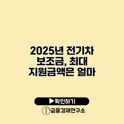 2025년 전기차 보조금, 최대 지원금액은 얼마?