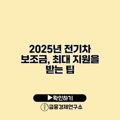 2025년 전기차 보조금, 최대 지원을 받는 팁