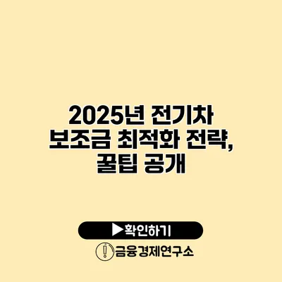 2025년 전기차 보조금 최적화 전략, 꿀팁 공개