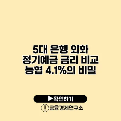 5대 은행 외화 정기예금 금리 비교 농협 4.1%의 비밀