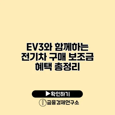 EV3와 함께하는 전기차 구매 보조금 혜택 총정리