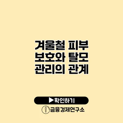 겨울철 피부 보호와 탈모 관리의 관계