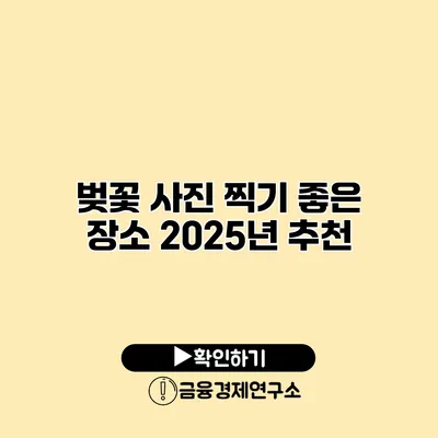 벚꽃 사진 찍기 좋은 장소 2025년 추천