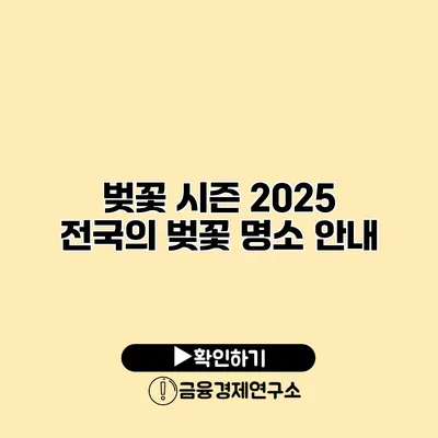 벚꽃 시즌 2025 전국의 벚꽃 명소 안내