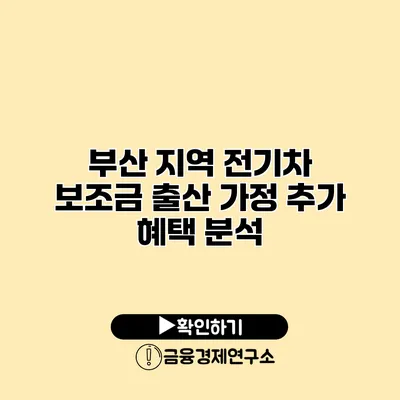 부산 지역 전기차 보조금 출산 가정 추가 혜택 분석