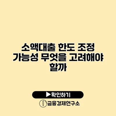 소액대출 한도 조정 가능성 무엇을 고려해야 할까?