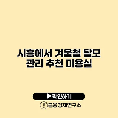 시흥에서 겨울철 탈모 관리 추천 미용실
