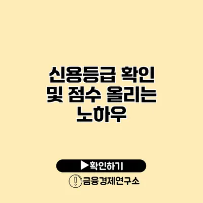 신용등급 확인 및 점수 올리는 노하우