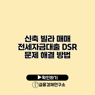 신축 빌라 매매 전세자금대출 DSR 문제 해결 방법