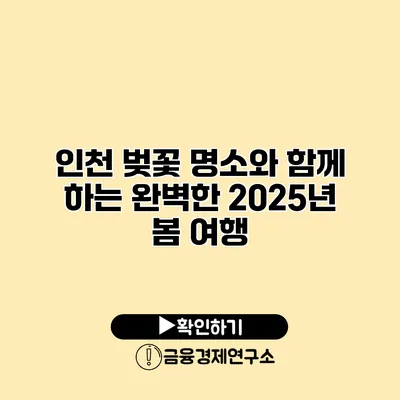 인천 벚꽃 명소와 함께 하는 완벽한 2025년 봄 여행