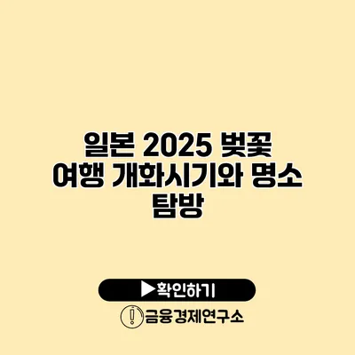 일본 2025 벚꽃 여행 개화시기와 명소 탐방